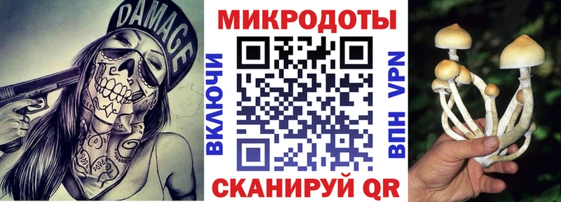 наркошоп  Рубцовск  Псилоцибиновые грибы мицелий 